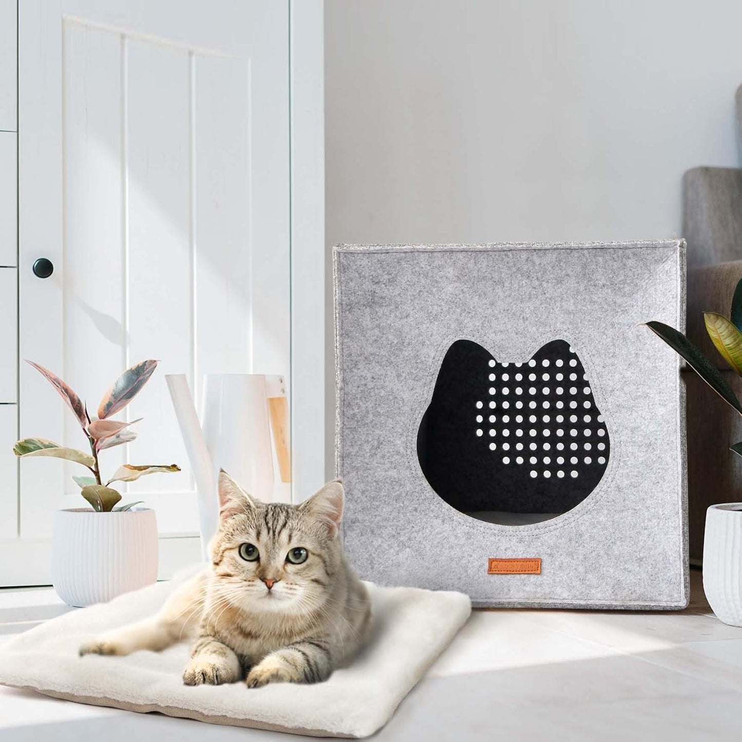 Coperte e Mobili, Animali Domestici, Grotte e Casette, Gatti, Lettine per gatti, Gatti - Letti, Materassi