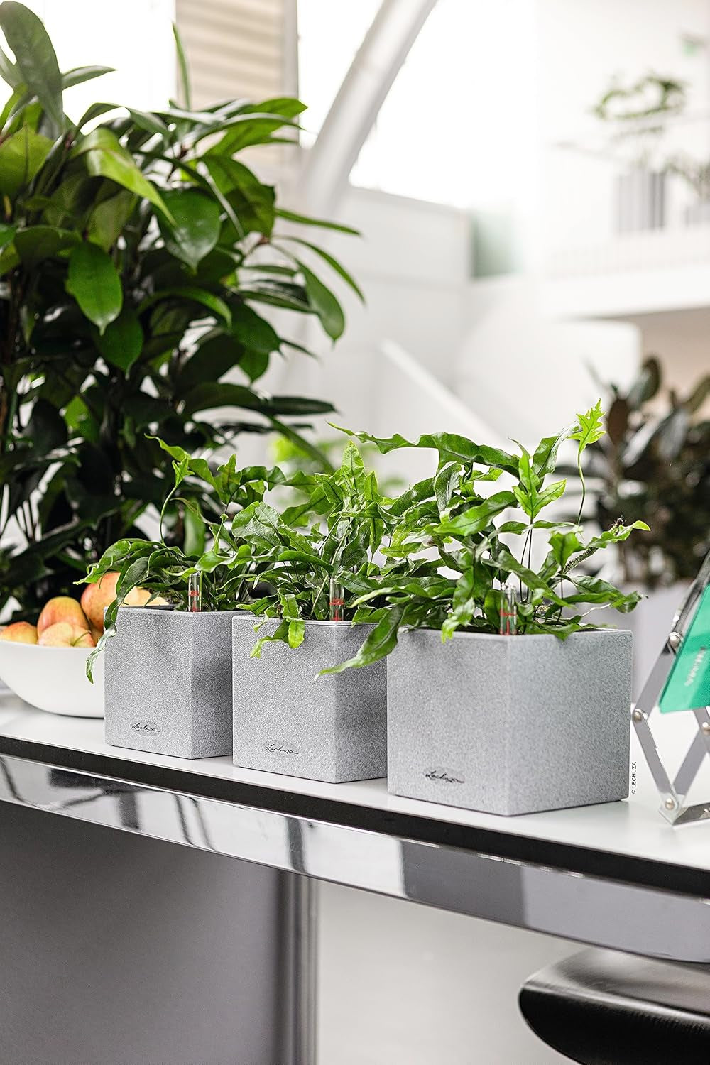 Cubo per erbe aromatiche di alta qualità LECHUZA CANTO Stone 14 con sistema di irrigazione a bastoncino, grigio pietra