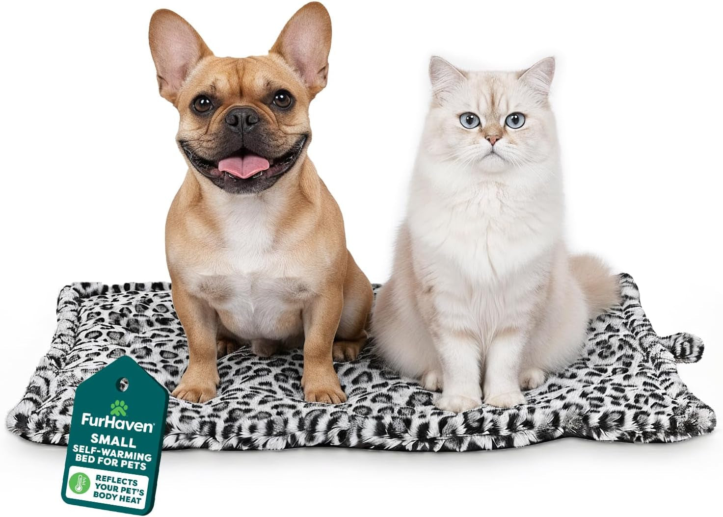 Letti e Divani, Coperte e Arredi, Animali Domestici, Gatti, Letti per gatti, Gatti - Letti, materassi