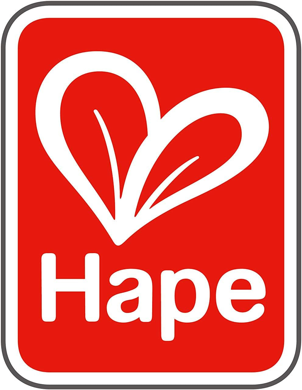 Hape Cameretta per Bambole - Set per Cameretta per Bambole in Legno, Mobili per Bambole, Accessori per Casa delle Bambole per Bambini, Cameretta per Bambini in Miniatura con Altalena e Accessori, Gioco di Ruolo di 3 Anni