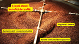 Caffè New York - XXXX - Caffè in grani interi - 1000g