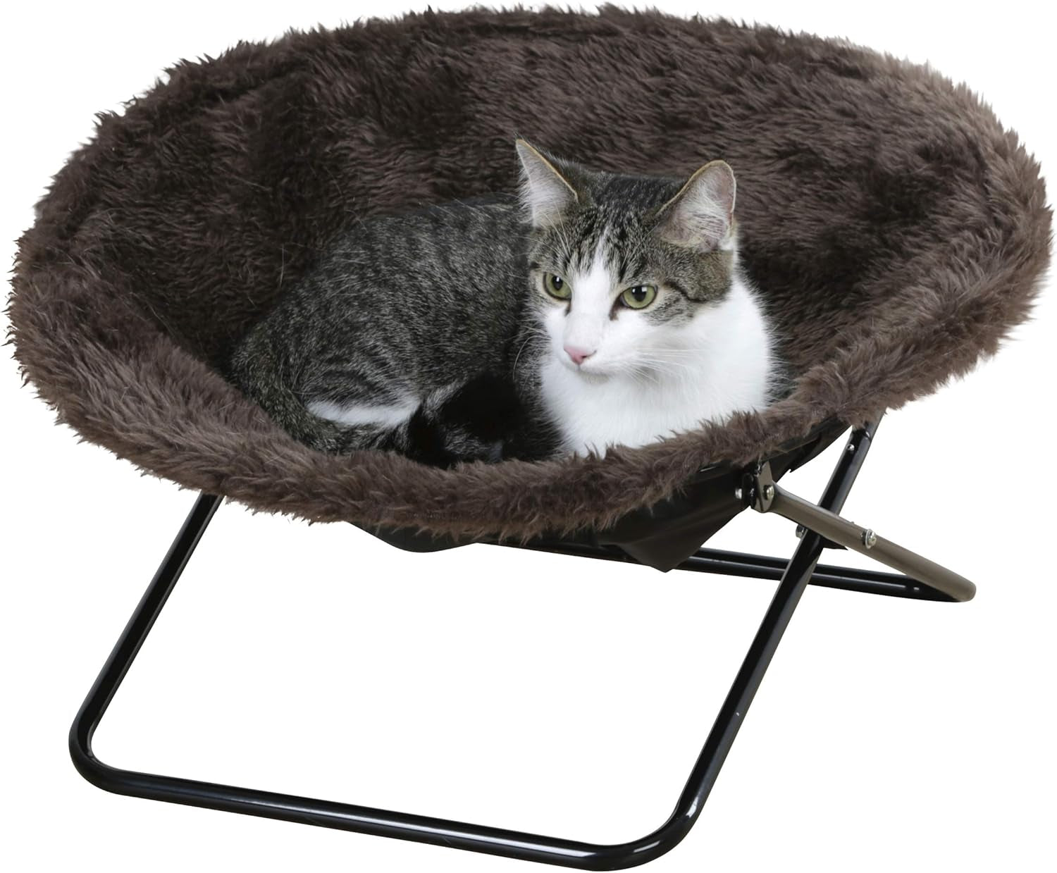 Coperte e Arredamento, Animali Domestici, Gatti, Letti per Gatti, Gatti - Letti, Materassi, Divani