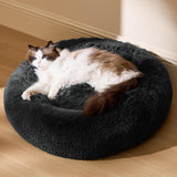 Letti, coperte e mobili, Animali domestici, Gatti, Cucce per gatti, Gatti - Letti, materassi