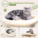 Coperte e Mobili, Animali Domestici, Gatti, Letti per gatti, Tiragraffi, Gatti - Letti, Materassi