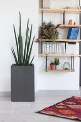 Vaso da fiori Basalt Up, quadrato, alto, 36 l, aspetto cemento, parete liscia, serbatoio dell'acqua, 29,5 x 29,5 x 49,5 cm, grigio antracite