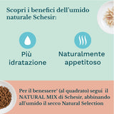 Cibo umido per gatti Cat Jelly Kitten Tonno con Aloe Vera, gelatina, 24 scatole x 85 g