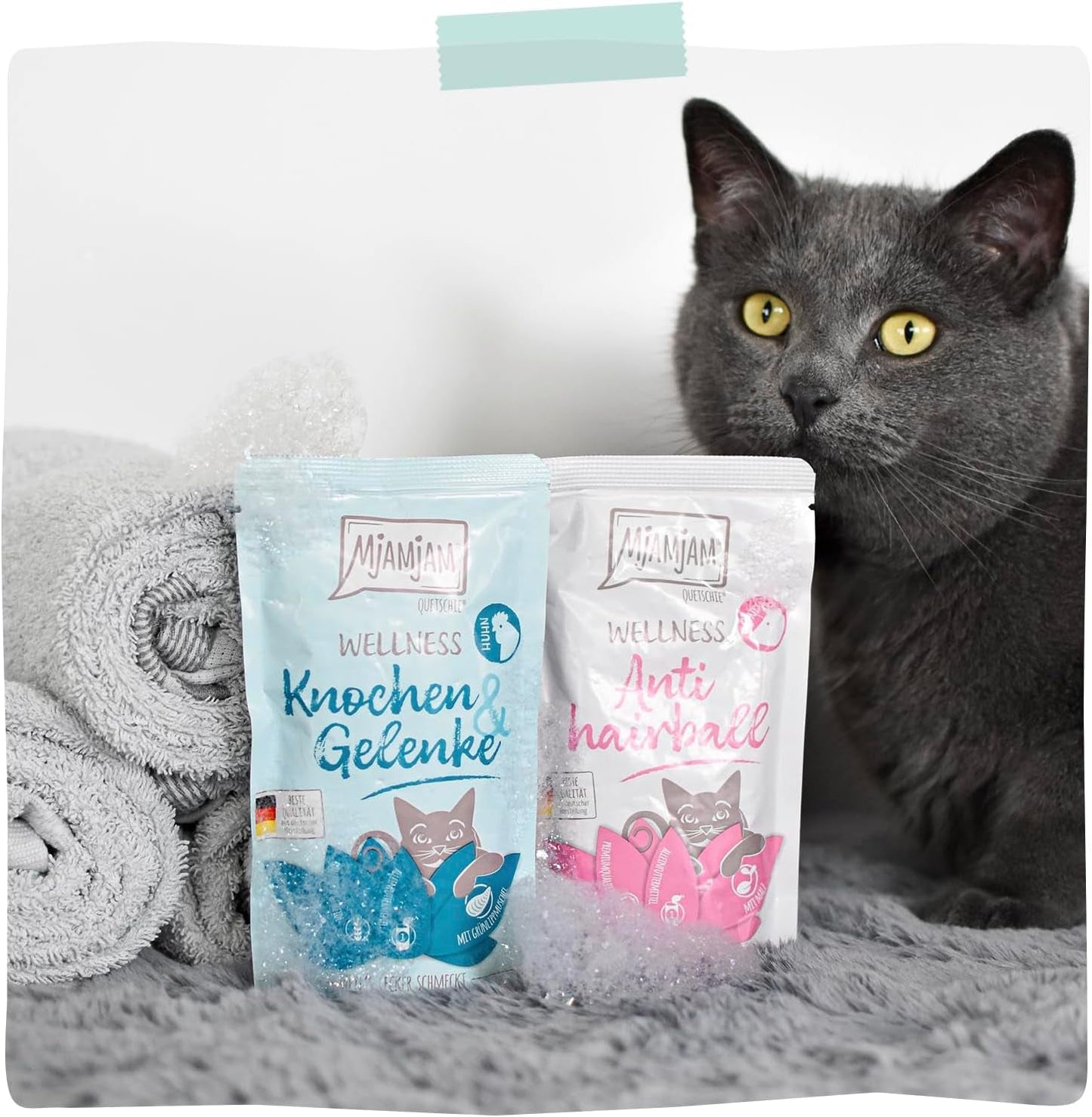 MjAMjAM - Cibo umido premium per gatti - Benessere - Digestivo - Manzo, Confezione da 12 (12 x 125g), Senza Cereali