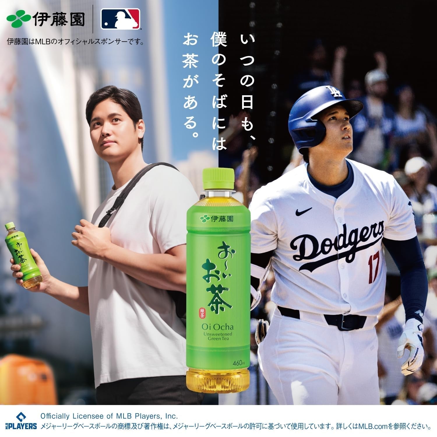 Itoen Premium Tee Bag Green Tea 1.8 g - 50 Peace - Tè verde - (tipo confezione)