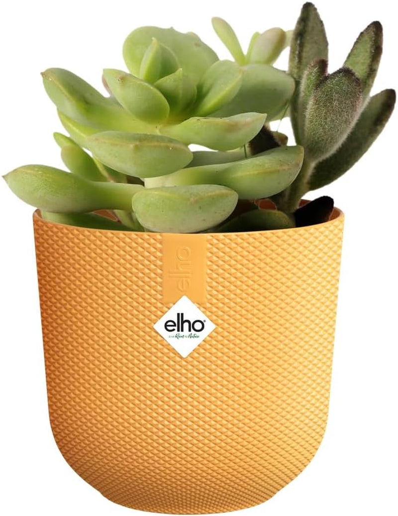 elho Jazz Round Mini 7 cm - Vasi da fiori per interni - 100% plastica riciclata - Ø 7 x H 6,5 cm - Giallo/Ambra
