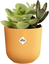 elho Jazz Round Mini 7 cm - Vasi da fiori per interni - 100% plastica riciclata - Ø 7 x H 6,5 cm - Giallo/Ambra
