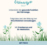 Almo Nature Functional Urinary Help - Nassfutter für ausgewachsene Katzen mit Fisch - Unterstützung für die Gesundheit der Harnwege - 30 buste da 70g