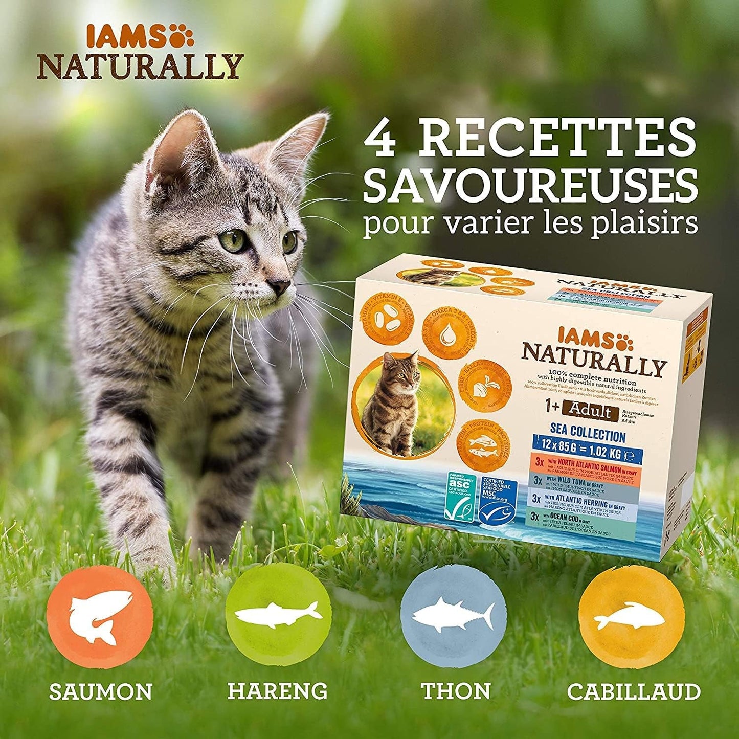 IAMS Alimento Umido Naturale per Gatti in Salsa - Alimento Umido di Alta Qualità con Pesce per Gatti Adulti, Collezione Mare, 12 x 85g