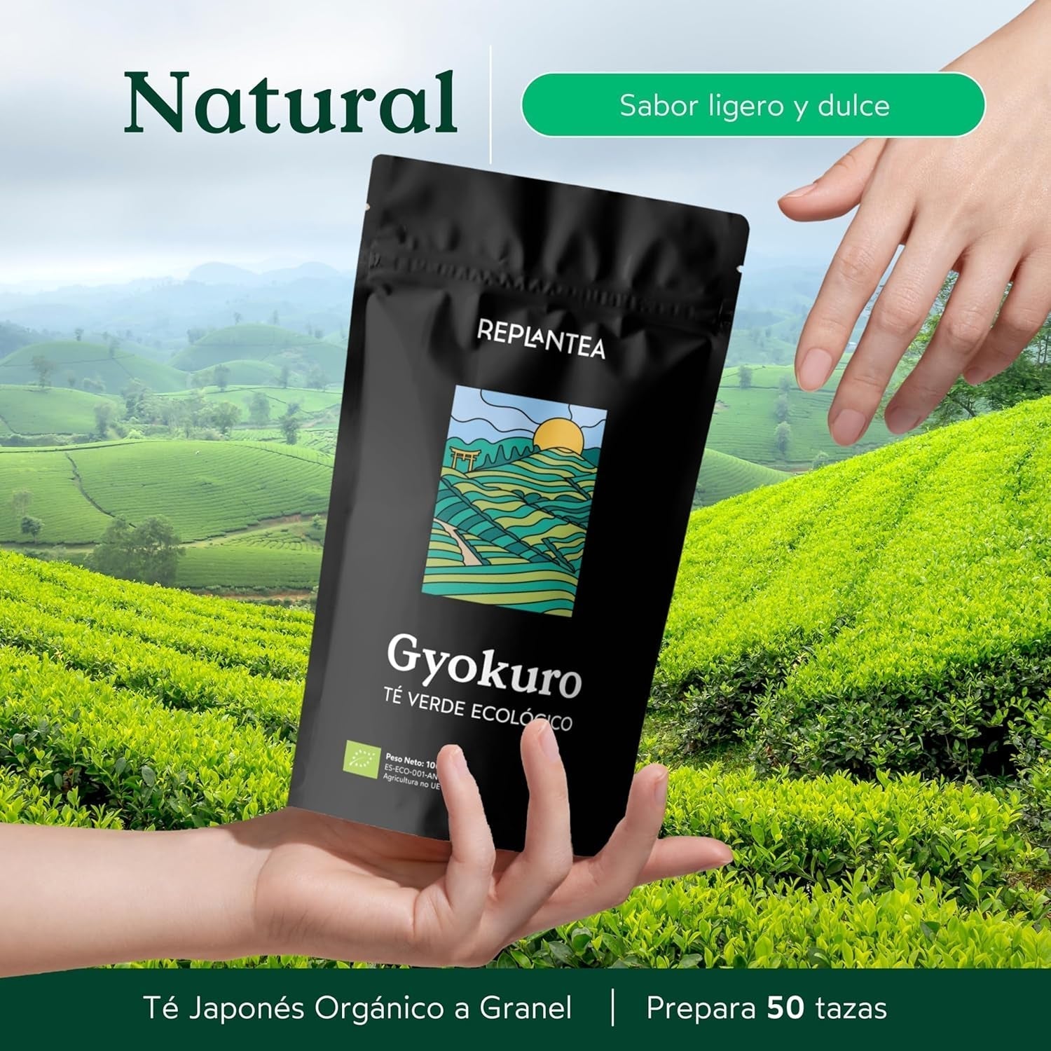 Tè verde giapponese Gyokuro biologico (100 g) | Tè sfuso premium | Gusto umami raffinato e dolcezza delicata | RIPIANTARE