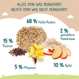 Milupa Baby Porridge - Porridge di avena e frutta da 10 mesi a 3 anni Alimenti per bambini 1 x 400 g (confezione da 2)