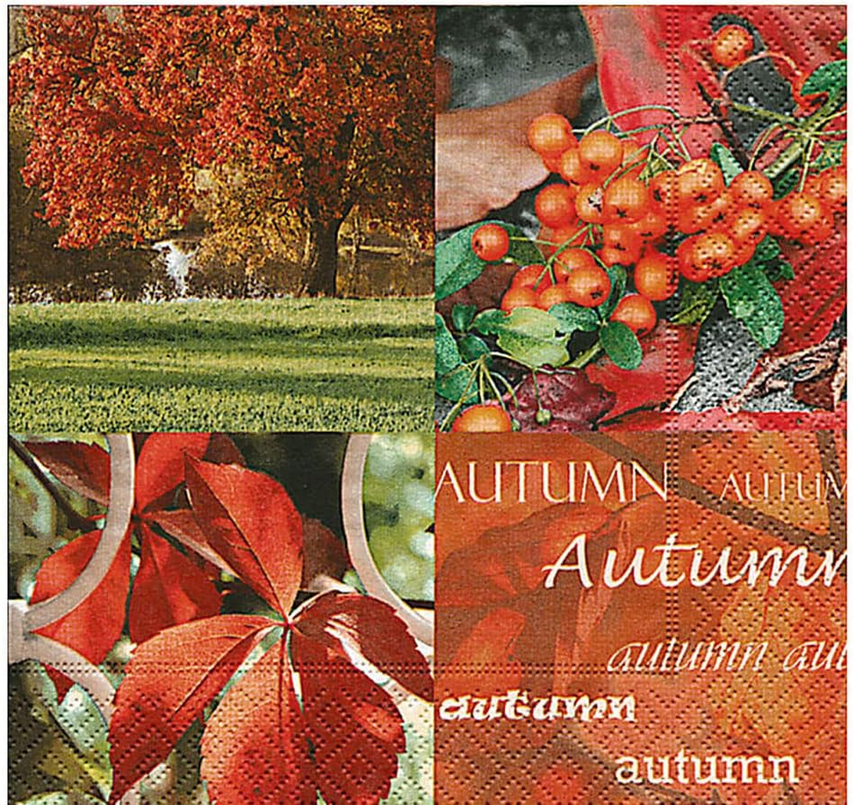 Salviette in cellulosa, la natura dell'autunno" (contenuto 1)