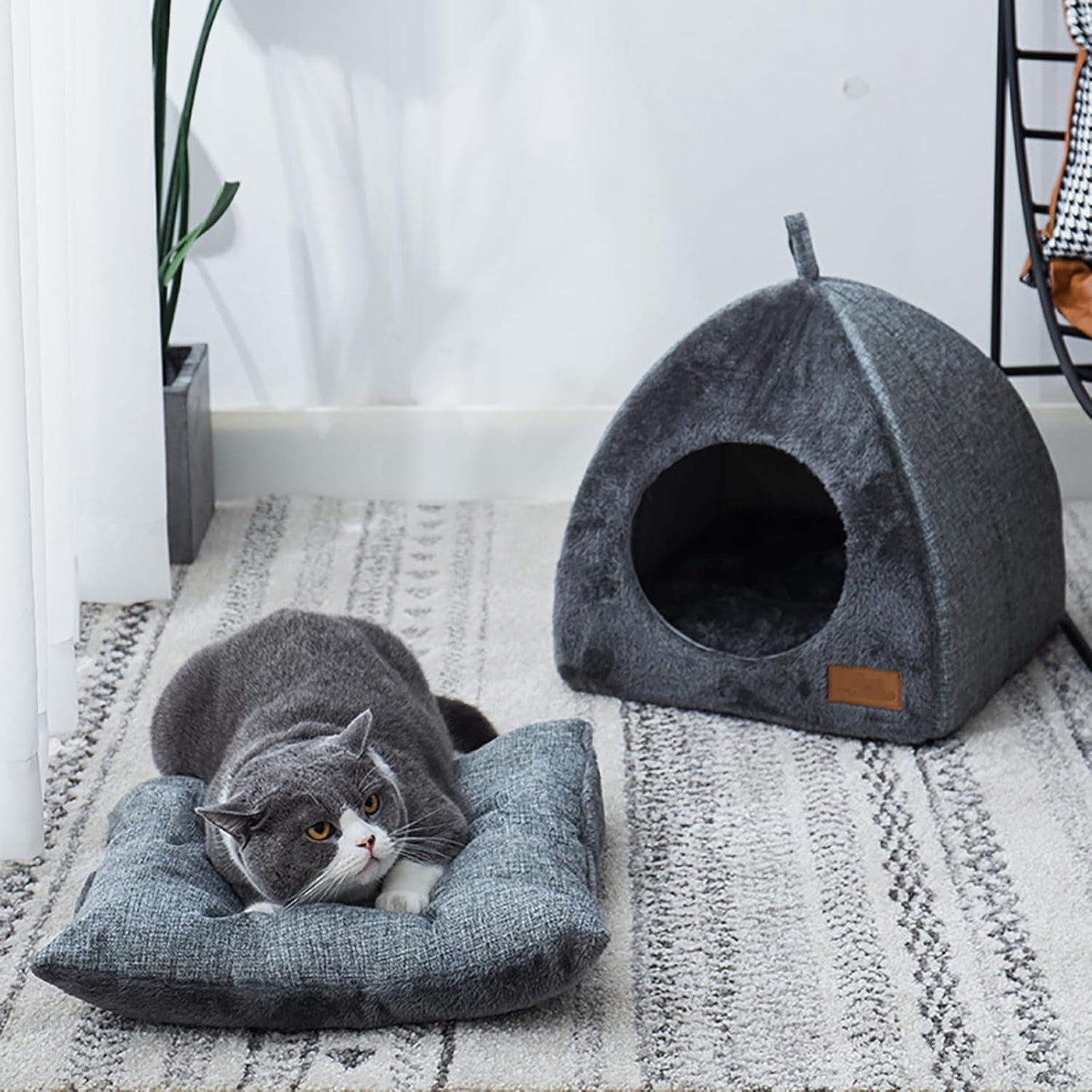 Coperte e Mobili, Animali Domestici, Grotte e Casette, Gatti, Lettine per gatti, Gatti - Letti, Materassi