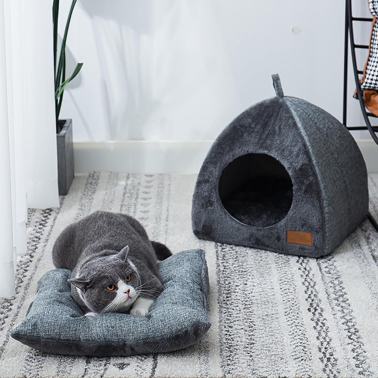 Coperte e Mobili, Animali Domestici, Grotte e Casette, Gatti, Lettine per gatti, Gatti - Letti, Materassi
