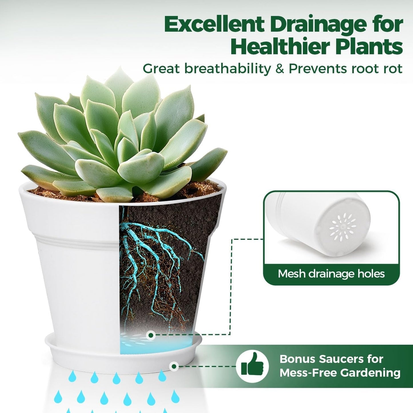 T4U Vaso da Fiori in Plastica con Sottovaso da 16 cm, Set di 6 Vasi per Erbe in Plastica con Fori di Drenaggio Multipli, Vaso Rotondo per Piante Succulente da Interno e da Balcone, Cactus, Bianco