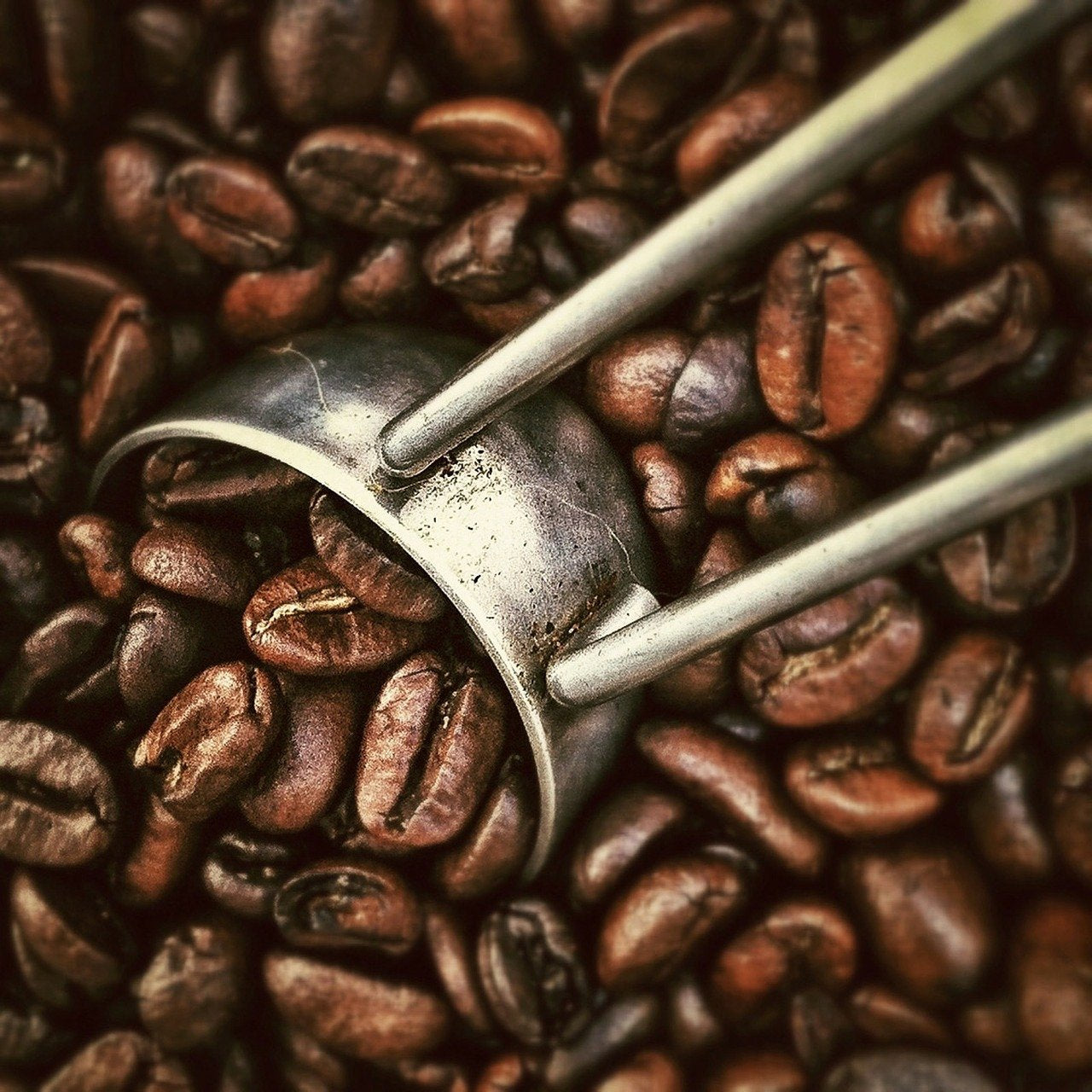 Caffè alle nocciole aromatiche, 3 chicchi interi da 1000 g