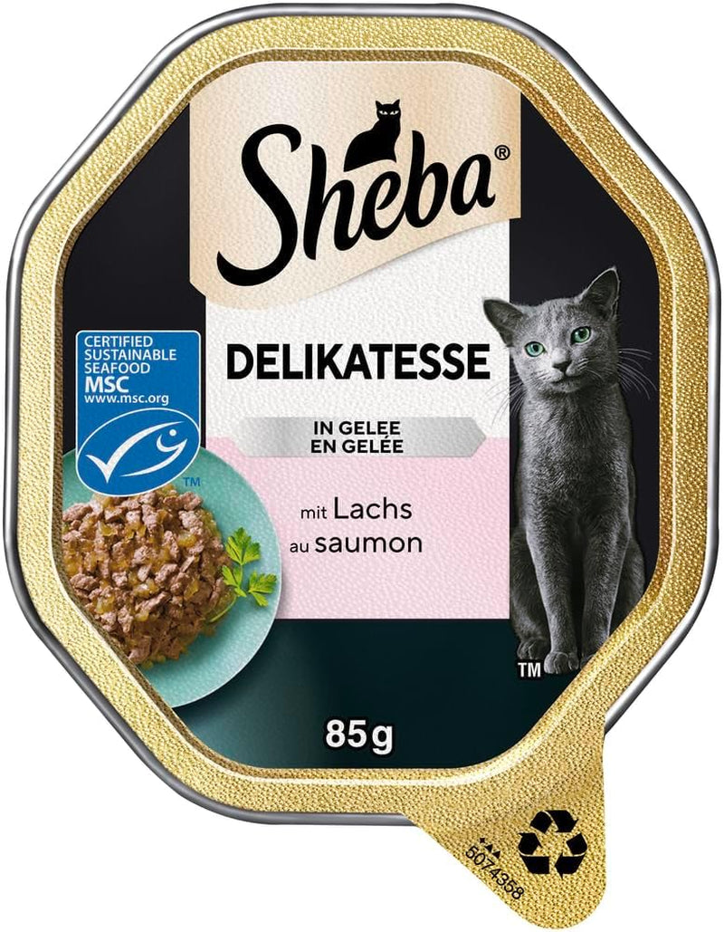 Sheba Cibo umido per gatti, Prelibatezze in gelatina di salmone, 2 x 11 x 85 g