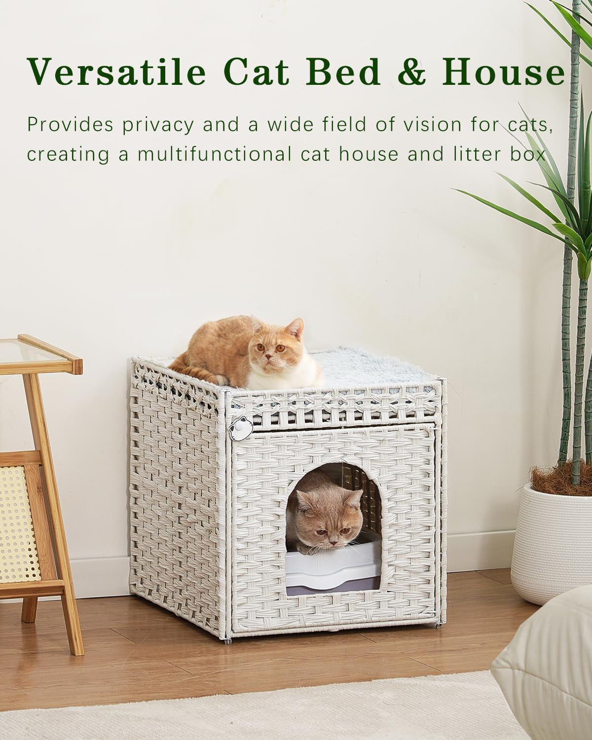 Coperte e Arredi, Animali Domestici, Grotte e Casette, Gatti, Letti per gatti, Gatti - Letti, materassi