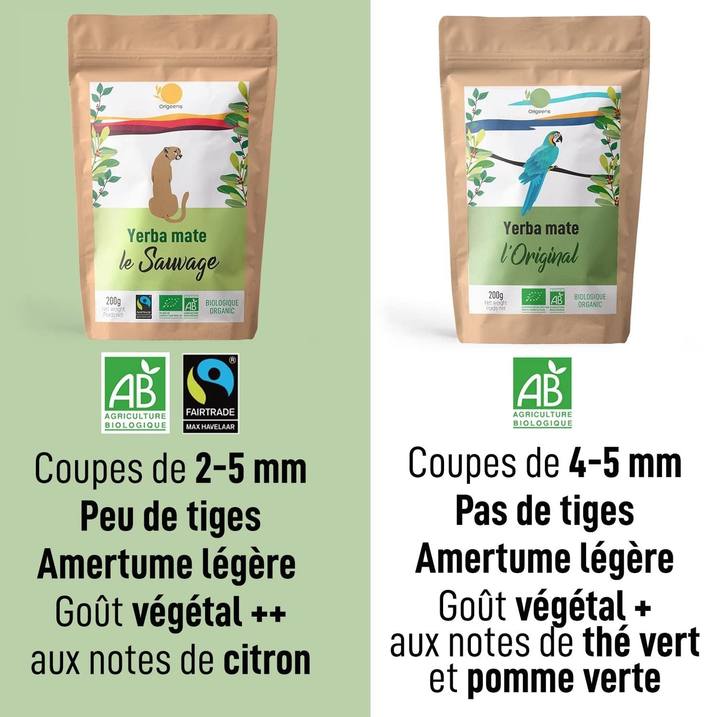 ORIGEENS BIO YERBA MATE TEA 200G - L'originale I Bio Yerba Mate non tostato, foglie, senza gambi, polvere e briciole I Bevanda energizzante e disintossicante