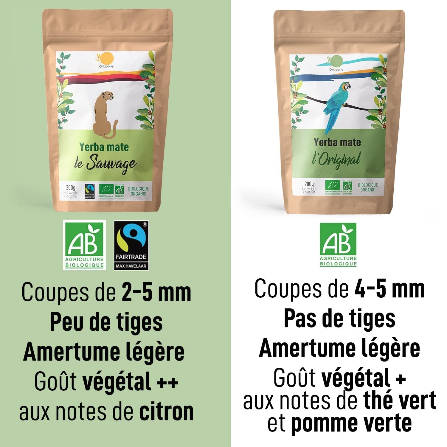 ORIGEENS BIO YERBA MATE TEA 200G - L'originale I Bio Yerba Mate non tostato, foglie, senza gambi, polvere e briciole I Bevanda energizzante e disintossicante