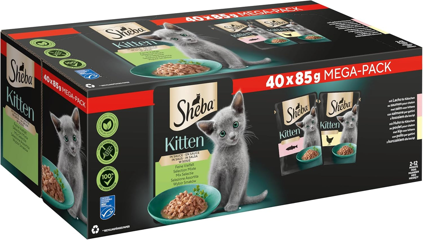 Sheba alimento umido per gattini, in bustine assortite, con salmone (MSC) e pollo in salsa, multipack 40x85g