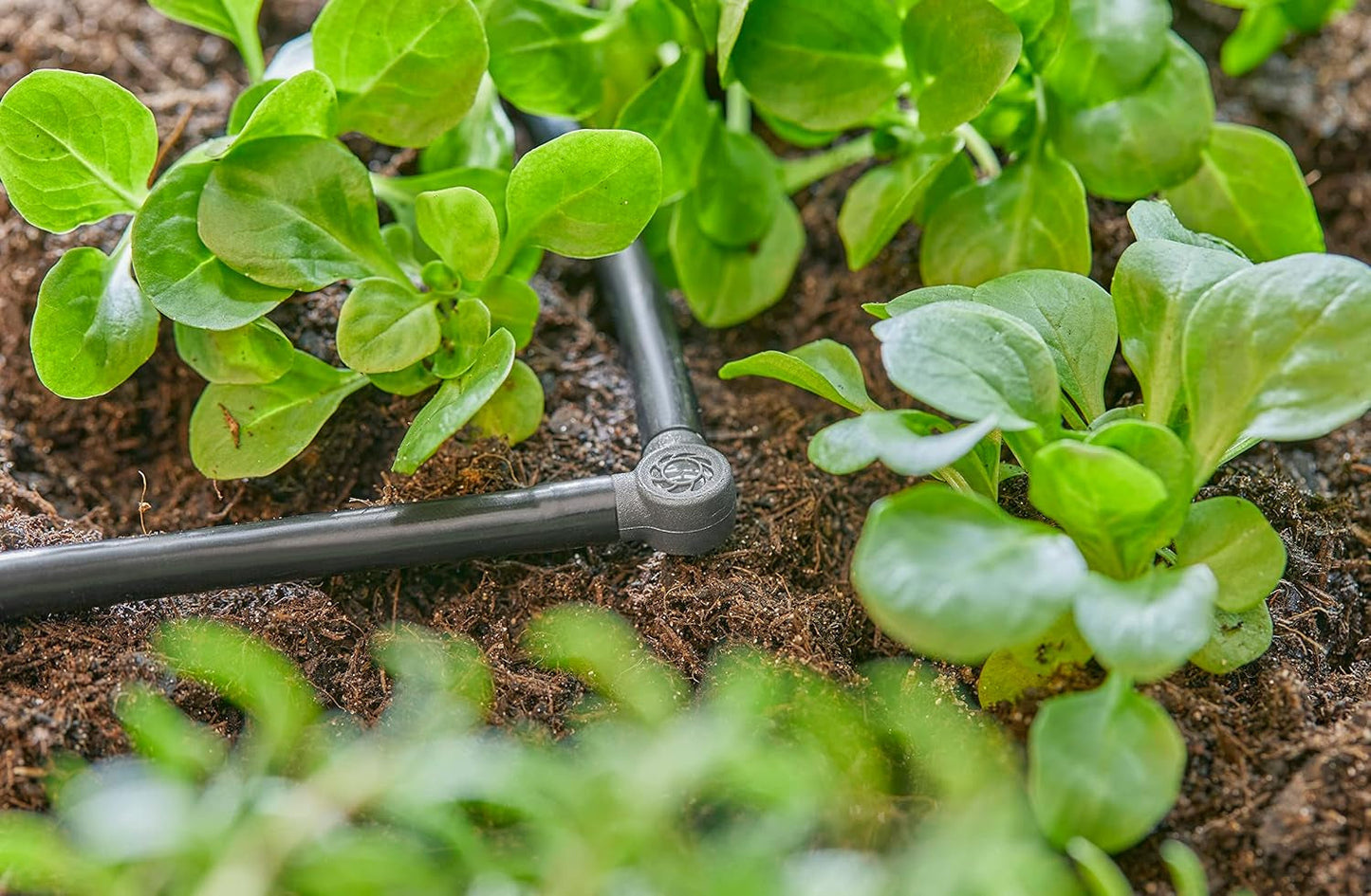 Raccordo a L per Gardena Micro-Drip 4,6 mm (3/16 pollici): per cambiare la direzione di distribuzione e le ali gocciolanti di 90 gradi, installazione senza pieghe, tecnologia di collegamento semplice e flessibile (13212-20)