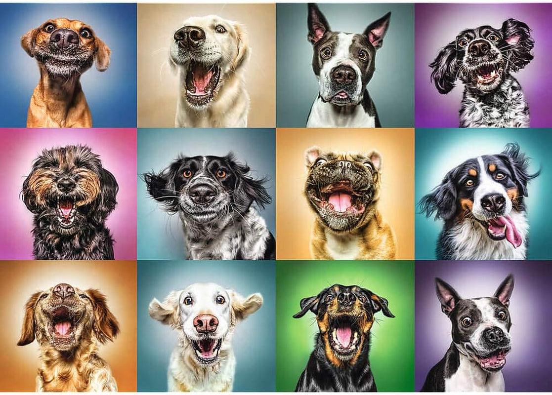 Puzzle - "1000" - Ritratti divertenti di cani Puzzle Naty Shop
