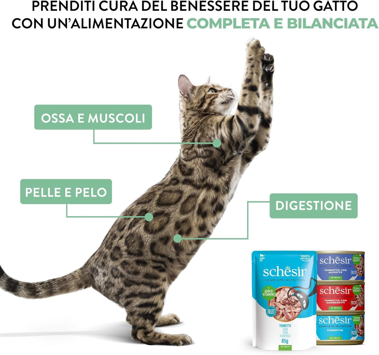 Tonno Salmone in Gelatina, Alimento umido completo per gatti, in scatola, con vitamine aggiunte, 100% naturale, 6 x 85 g