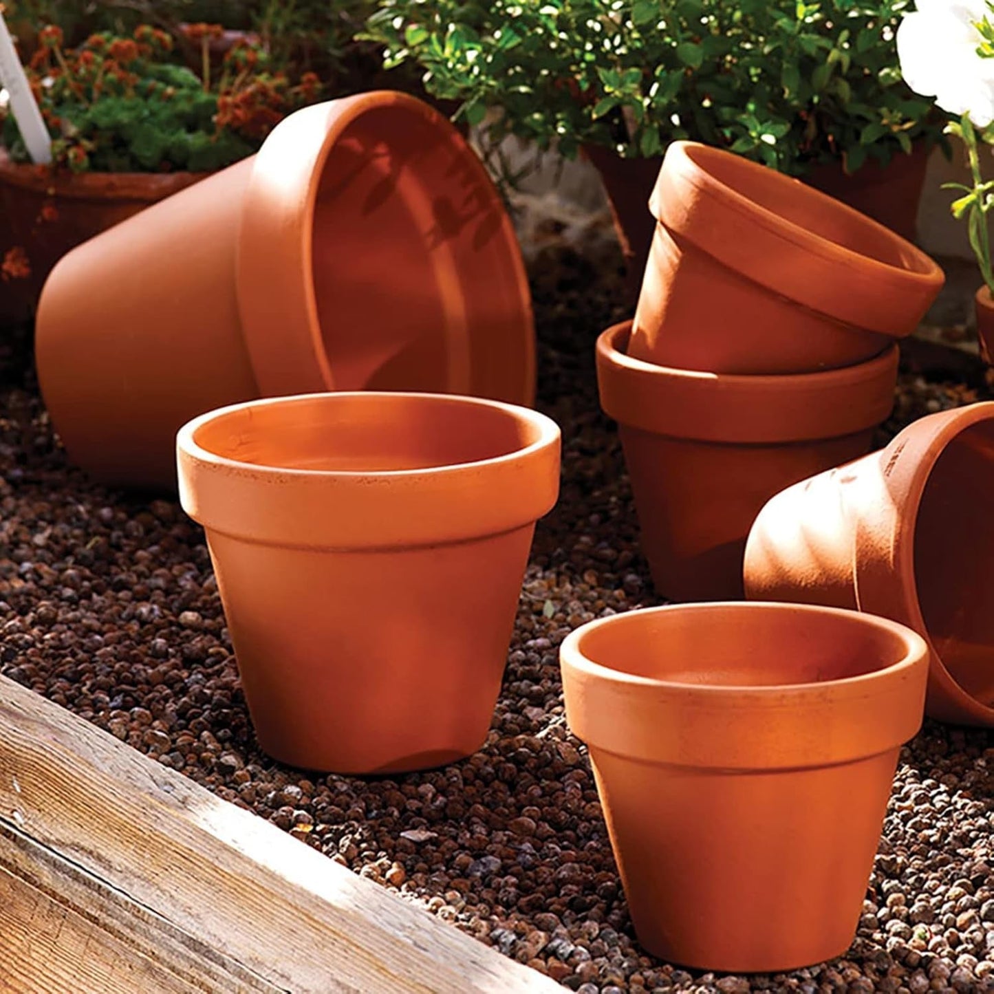 Hollyone Set di 8 fioriere piccole in terracotta, vasi rotondi in terracotta 8x8 cm con piatto e foro di drenaggio, fioriere piccole con vassoio, vasi per piante grasse in terracotta per piante da interno, fioriere in ceramica