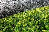 Polvere Matcha BIO 200 g I Senza additivi - 100% naturale I Tè Matcha giapponese premium I Tè verde in polvere di