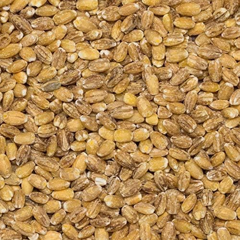 Orzo perlato integrale terrestre - non OGM - vegano - senza latticini - senza zuccheri aggiunti, 2 kg