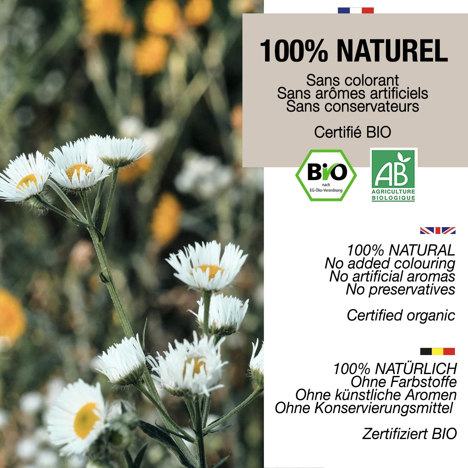 ORIGEENS Tisana ai fiori di camomilla biologica dall'Europa, 100 g | Tè sfuso, tè biologico per il sonno e la digestione | Camomilla tedesca | Certificato e confezionato in Germania