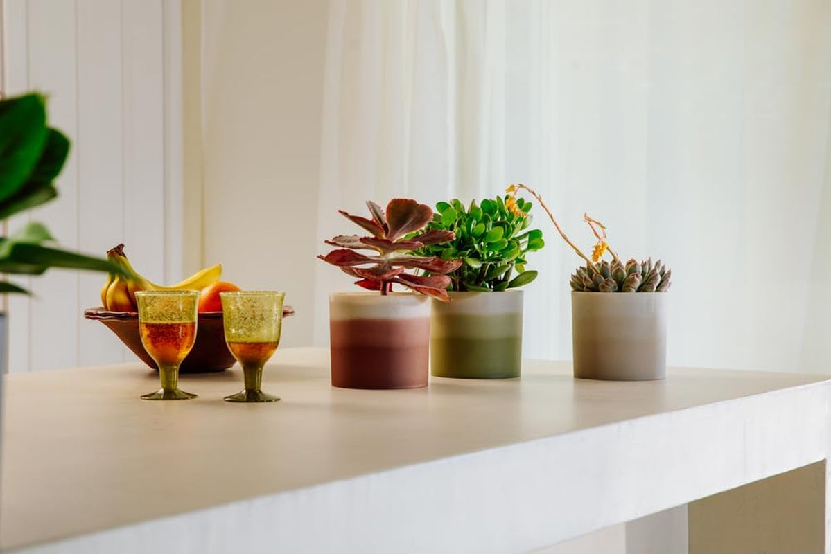 elho Vaso rotondo con sfumatura di colore 16 cm - Vasi da fiori per interni - 100% plastica riciclata - Ø 15,9 x H 14,7 - Marrone/Marrone cedro