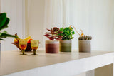 Vaso rotondo elho Sfumatura di colore 18 cm - Vasi da fiori per interni - 100% plastica riciclata - Ø 18,2 x H 16,8 - Beige/Beige Arenaria