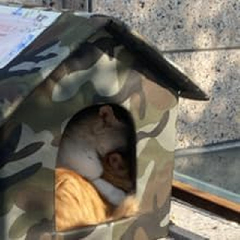 Coperte e Arredi, Animali Domestici, Grotte e Casette, Gatti, Letti per gatti, Gatti - Letti, materassi