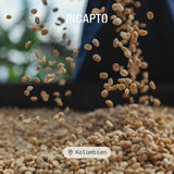 Incapto Spezialitäten-Kaffeebohnen | Colombiano monorigine | Espresso 100% Arabica | Caffè Speciale 84 Punti SCA | Geröstete Bohnenkaffee tradizionale | Piantaggine Huila, Cadefihuila, 1kg