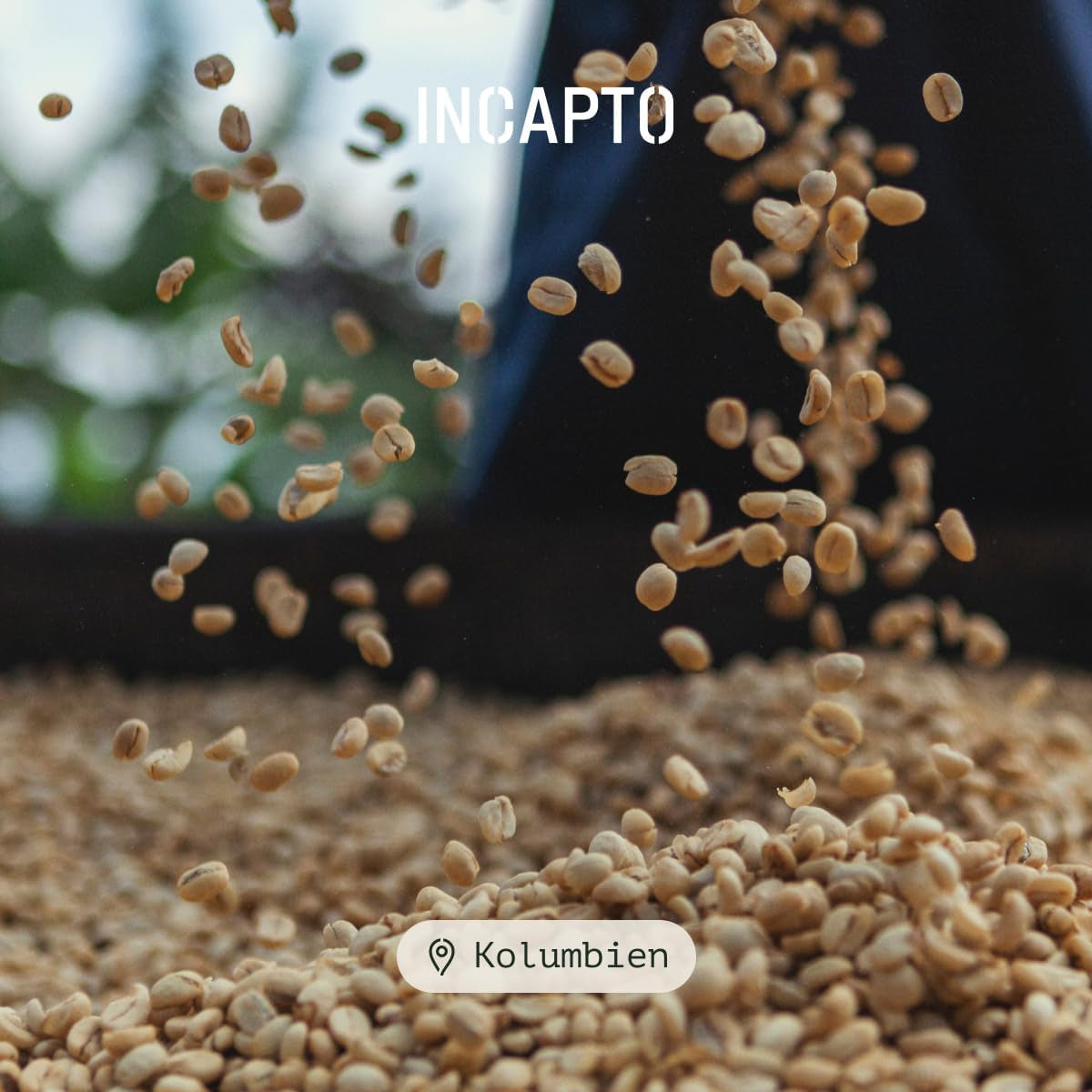 Incapto Spezialitäten-Kaffeebohnen | Colombiano monorigine | Espresso 100% Arabica | Caffè Speciale 84 Punti SCA | Geröstete Bohnenkaffee tradizionale | Piantaggine Huila, Cadefihuila, 1kg
