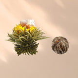 Feelino Elegante scatola mista da 6 pezzi - Feelino fiori di tè bianchi in una splendida confezione da degustazione e regalo con 6 diverse rose di tè bianche, confezionate singolarmente sottovuoto, confezione da 1 pezzo