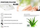 Cuscino Poggiapiedi Removibile Biancheria Da Letto Italiana, Aloe, 61X50X17Cm Cuscini Standard Naty Shop