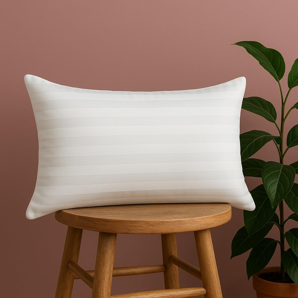 Inserto per cuscino decorativo per la casa alla moda Supporto lombare ipoallergenico per divano da esterno per la casa Lavabile in lavatrice 12 "x 20"