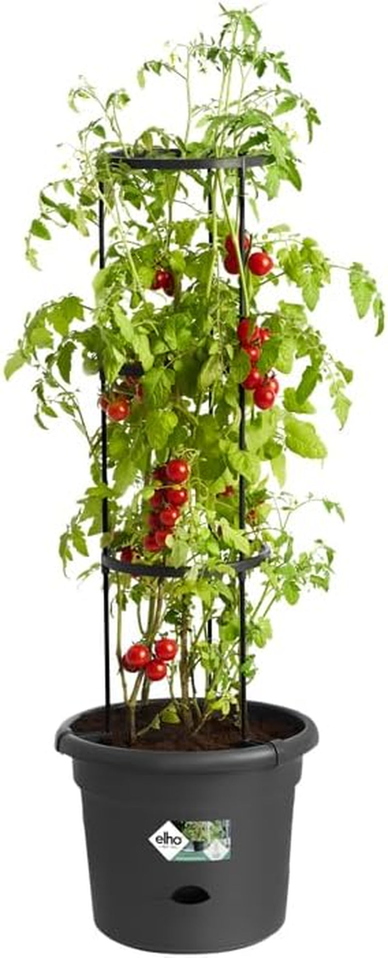 elho Green Basics Vasi per pomodori 33 - Vasi da fiori per coltivazione e raccolta all'aperto - Ø 33,5 x H 26,0 cm - Nero/Nero vivido