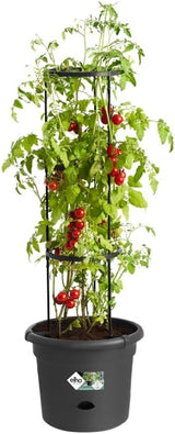 elho Green Basics Vasi per pomodori 33 - Vasi da fiori per coltivazione e raccolta all'aperto - Ø 33,5 x H 26,0 cm - Nero/Nero vivido
