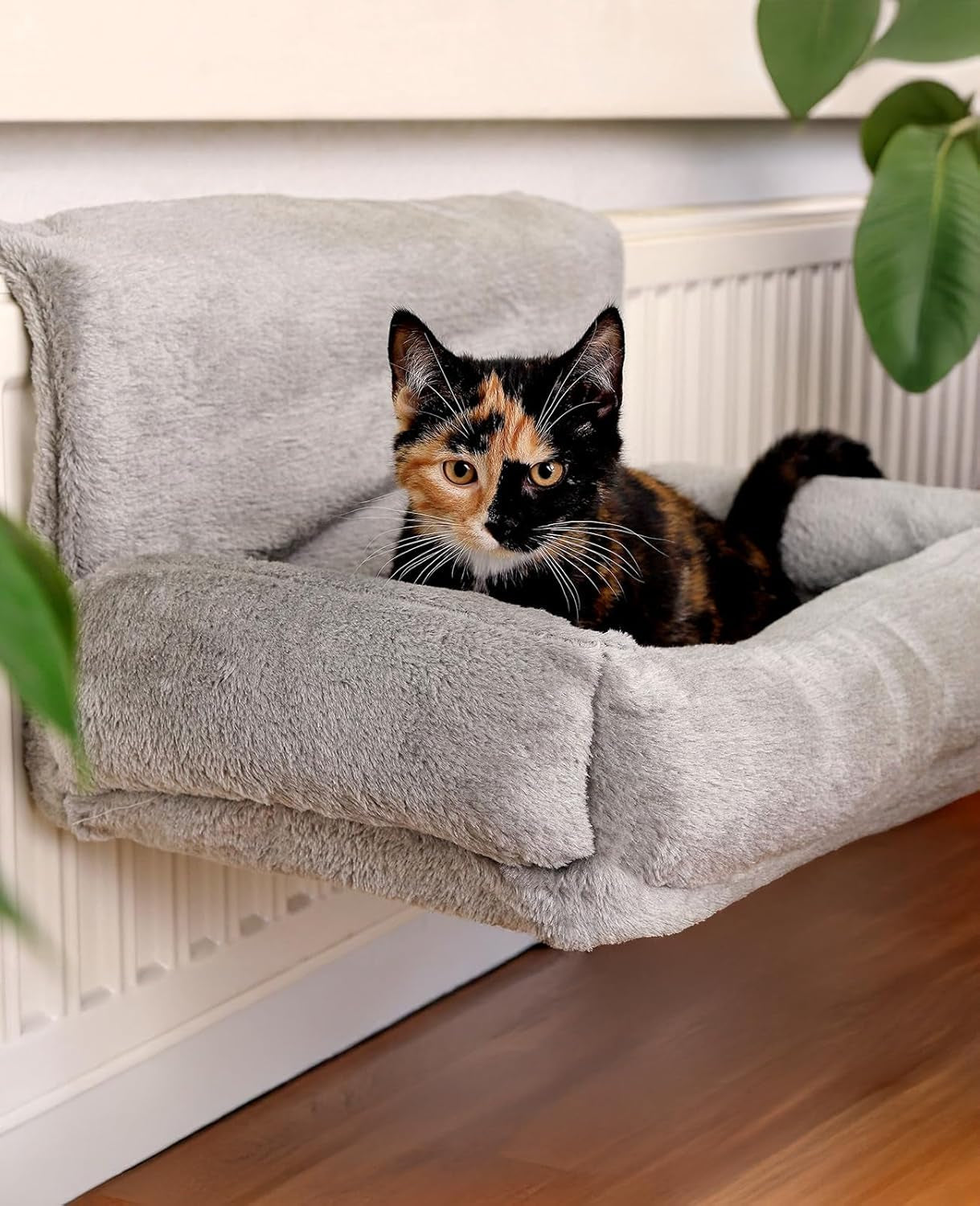 Letti, coperte e mobili, Animali domestici, Gatti, Cucce per gatti, Gatti - Letti, materassi