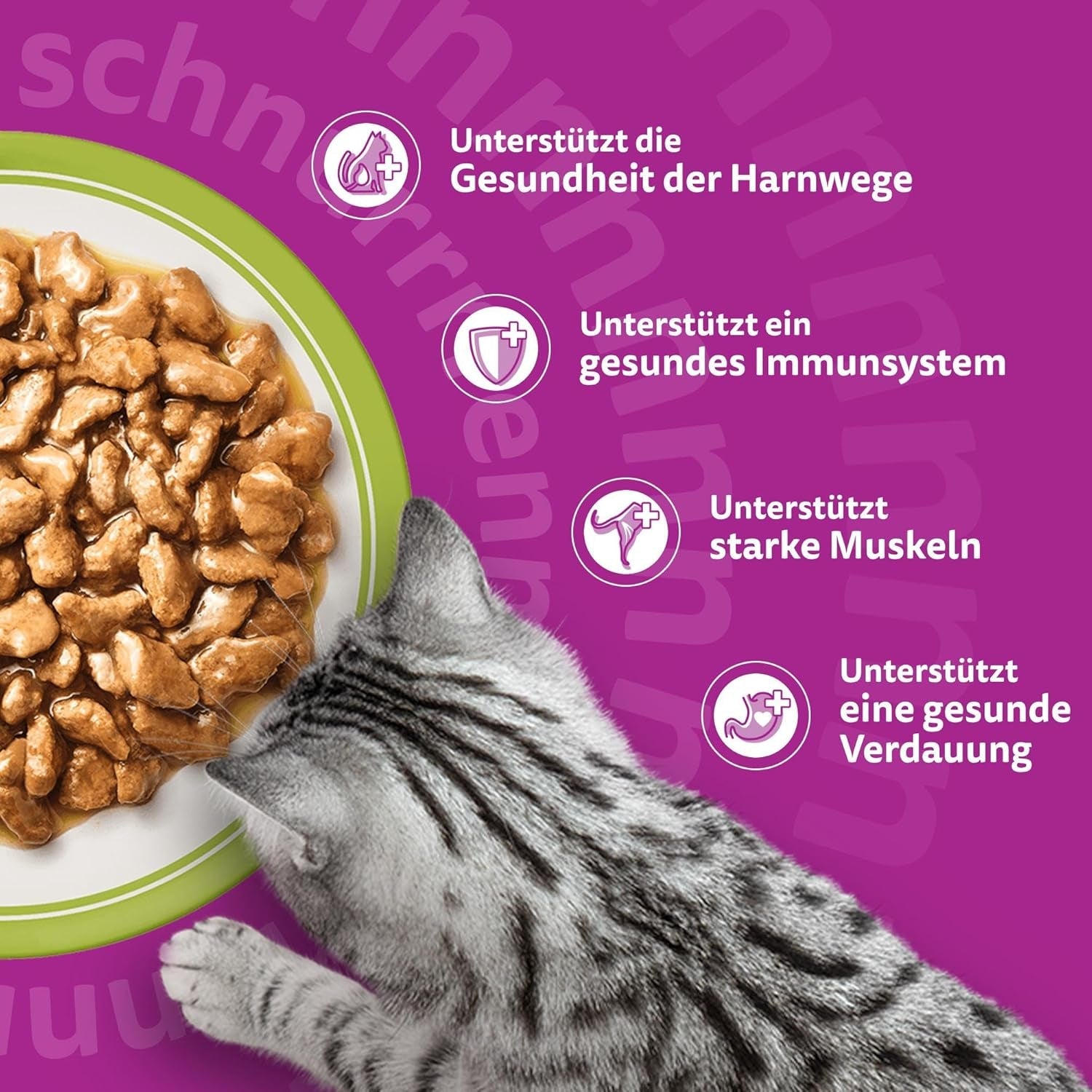 Whiskas Senior 7+ Selezione Mista di Cibo Umido in Salsa, 48 Bustine, 12x85g (Confezione da 4) - Cibo Umido di Alta Qualità per Gatti dai 7 Anni in su