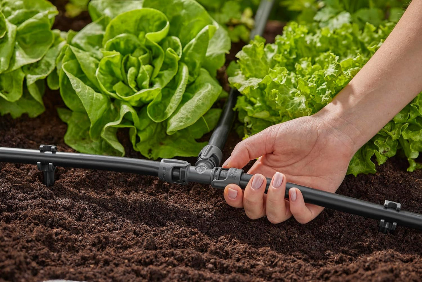 Gardena Sistema di irrigazione Micro-Drip Raccordo a T 13 mm (1/2"): Connettore per tubi di alimentazione da 13 mm, diramazione a T, irrigazione automatica, riutilizzabile (13201-20)