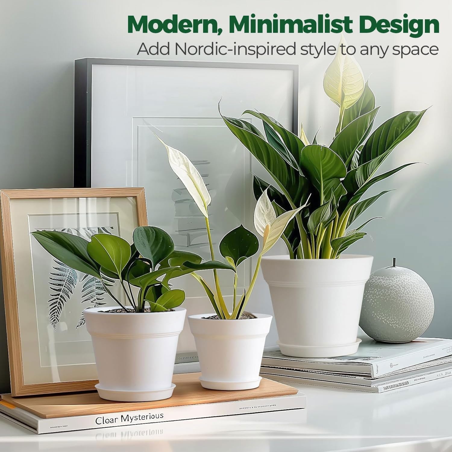 T4U Vaso da Fiori in Plastica con Sottovaso da 16 cm, Set di 6 Vasi per Erbe in Plastica con Fori di Drenaggio Multipli, Vaso Rotondo per Piante Succulente da Interno e da Balcone, Cactus, Bianco