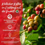 Senseo Pads Extra Forti, 5 x 16 Getränke, 80 Kaffeepads